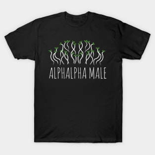Alphalpha Male T-Shirt